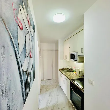 公寓 Ocean View La Estrella 洛斯克里斯蒂亚诺斯